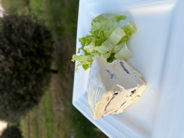 La Truffière des Mérigots, Gabillou - photo 19