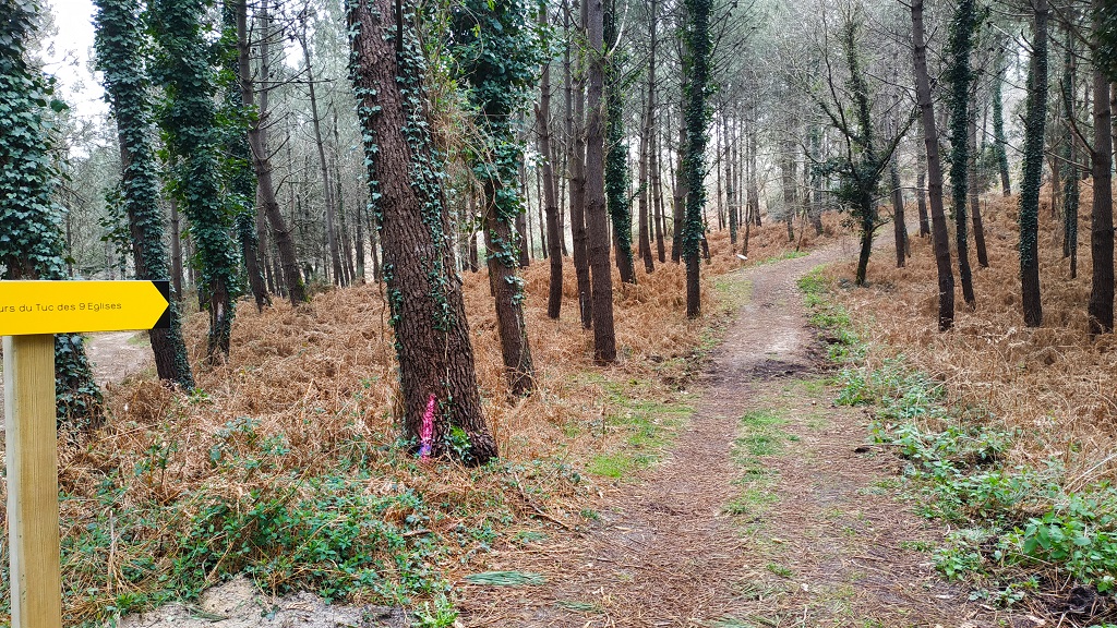 A Capbreton, parcours pédagogique du Tuc - photo 3