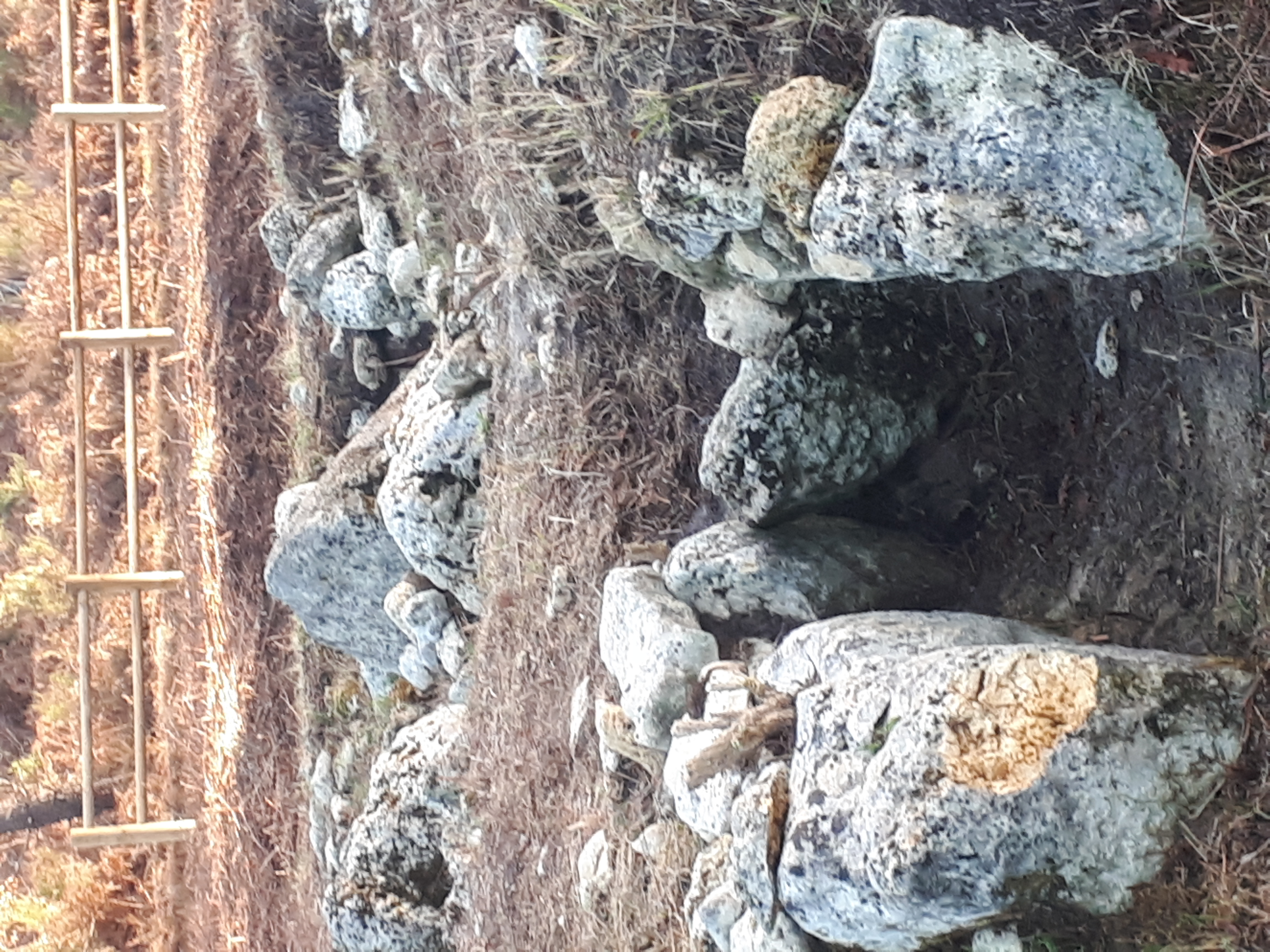 Le Tumulus du Bernet, Saint-Sauveur - photo 3