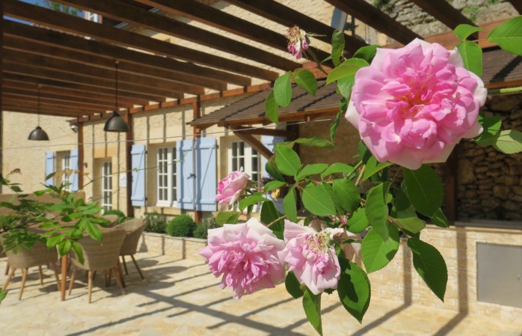Maison du Cèdre - Lalande Laborie, Auriac-du-Périgord - photo 4
