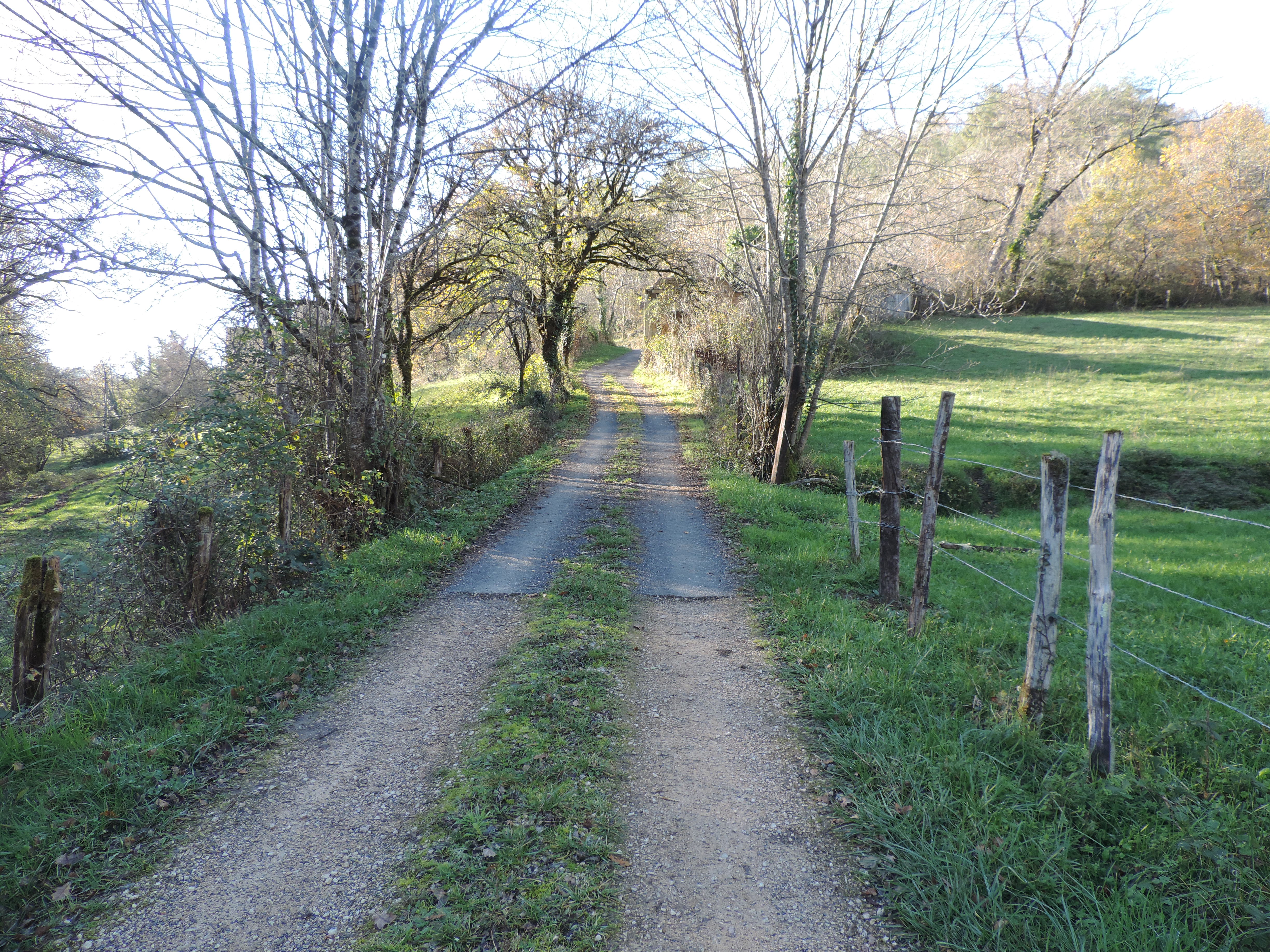 Chemin de la Queyrille, Queyssac-les-Vignes - photo 20