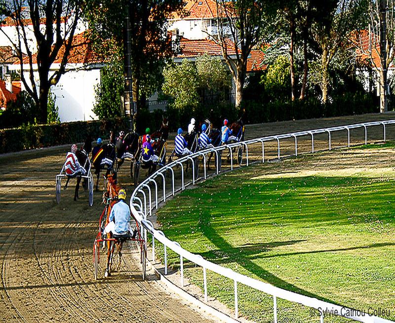 Société des Courses au Trot