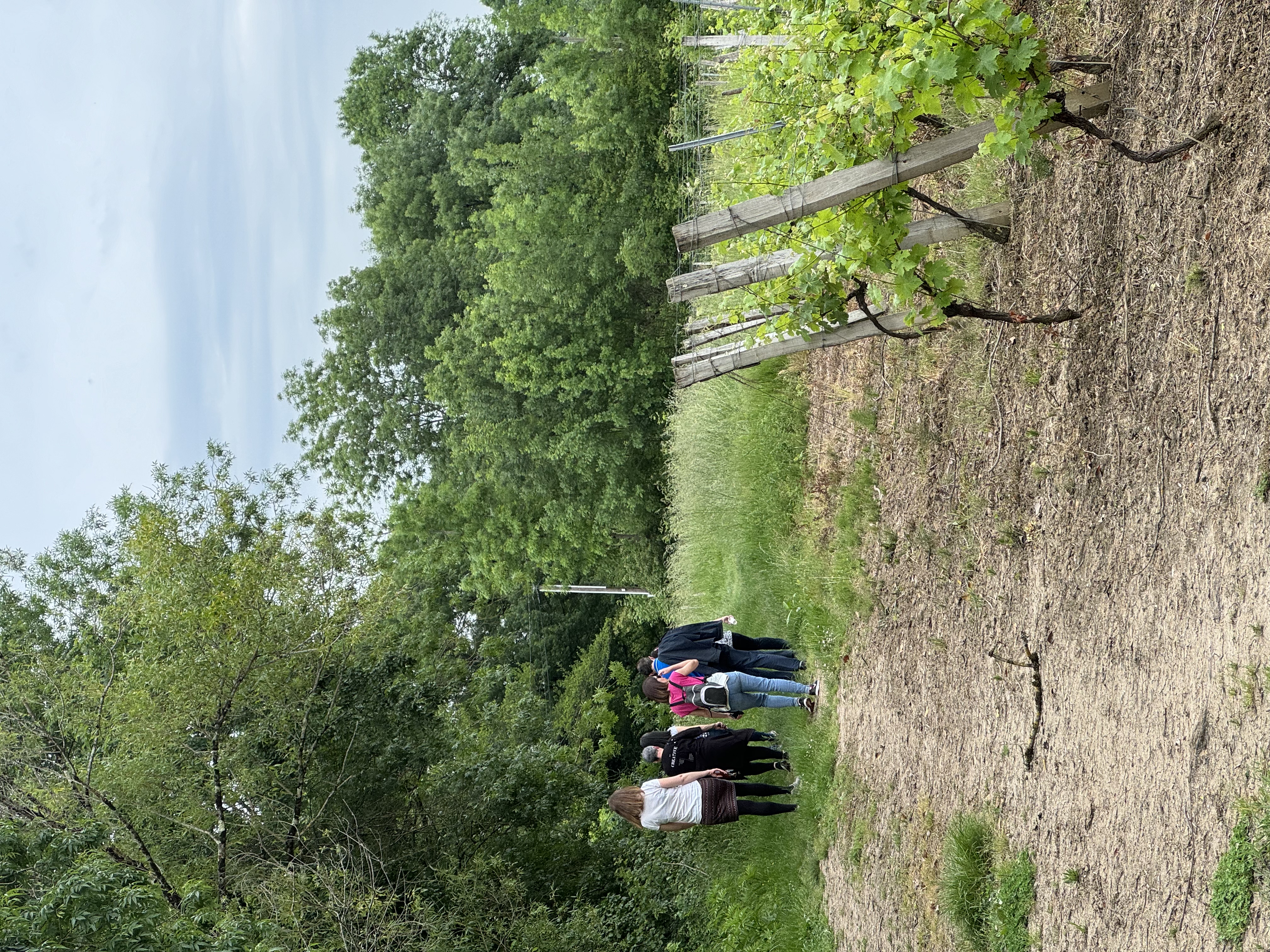 Un village en Gironde : Beautiran — photo 3