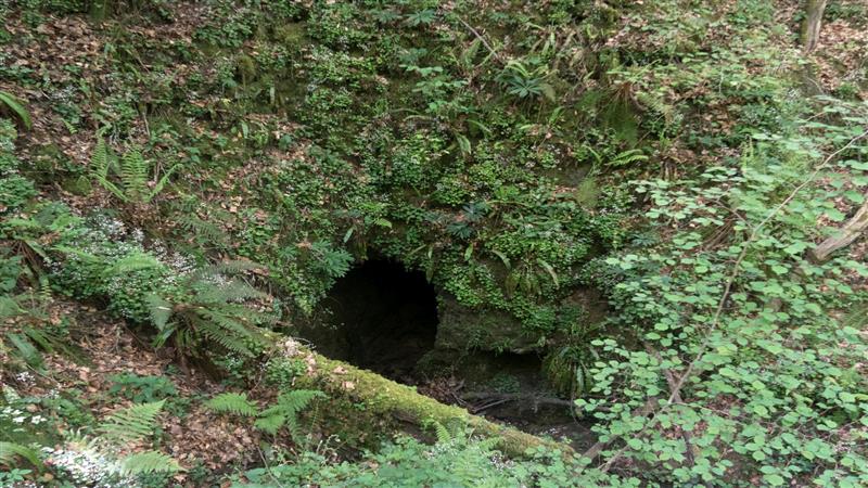 N°83 Sentier Karstique 