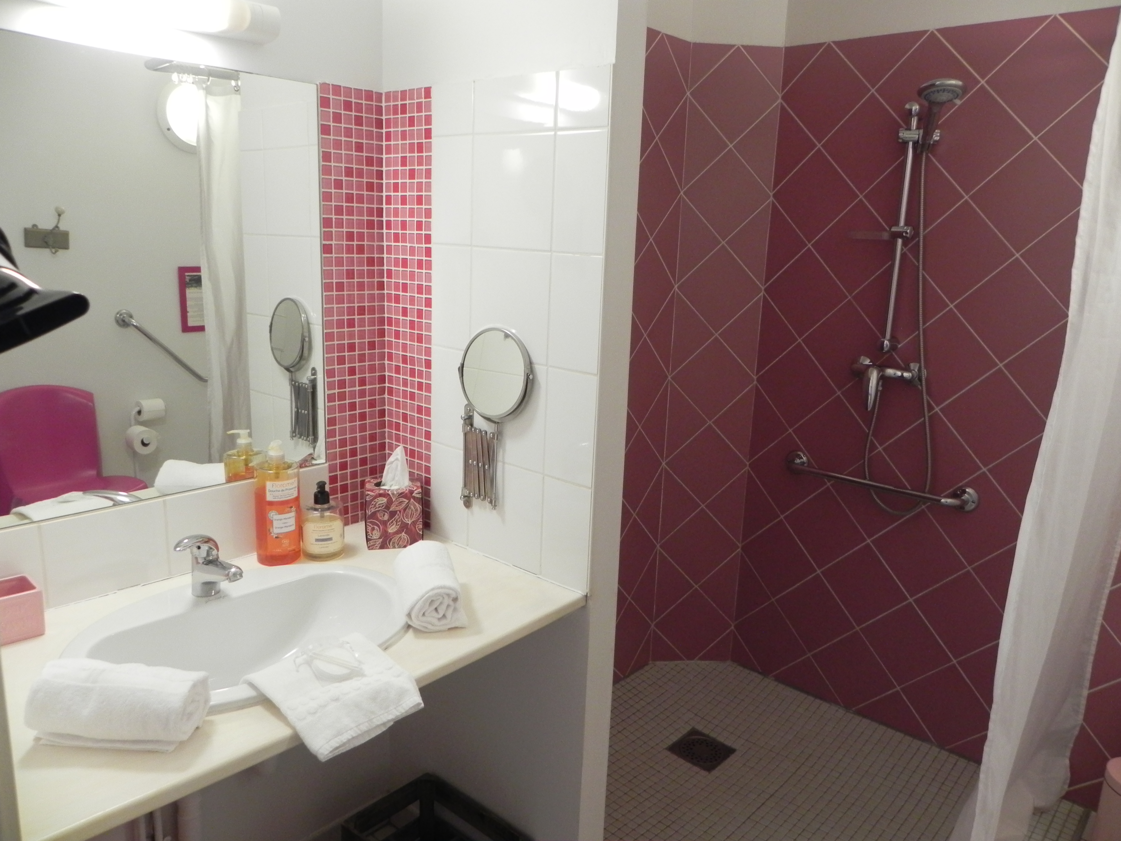 Gîte "Les enfants du Marais" (G 282) - Domaine de Flore, Arçais - photo 7