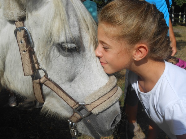 Centre Equestre Catherine Sireix — photo 3