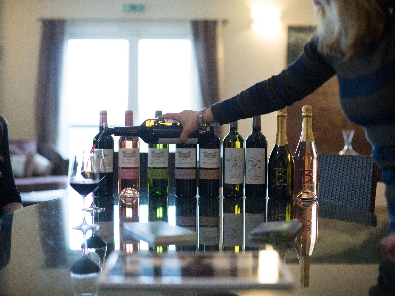 Château de Bonhoste - photo 3