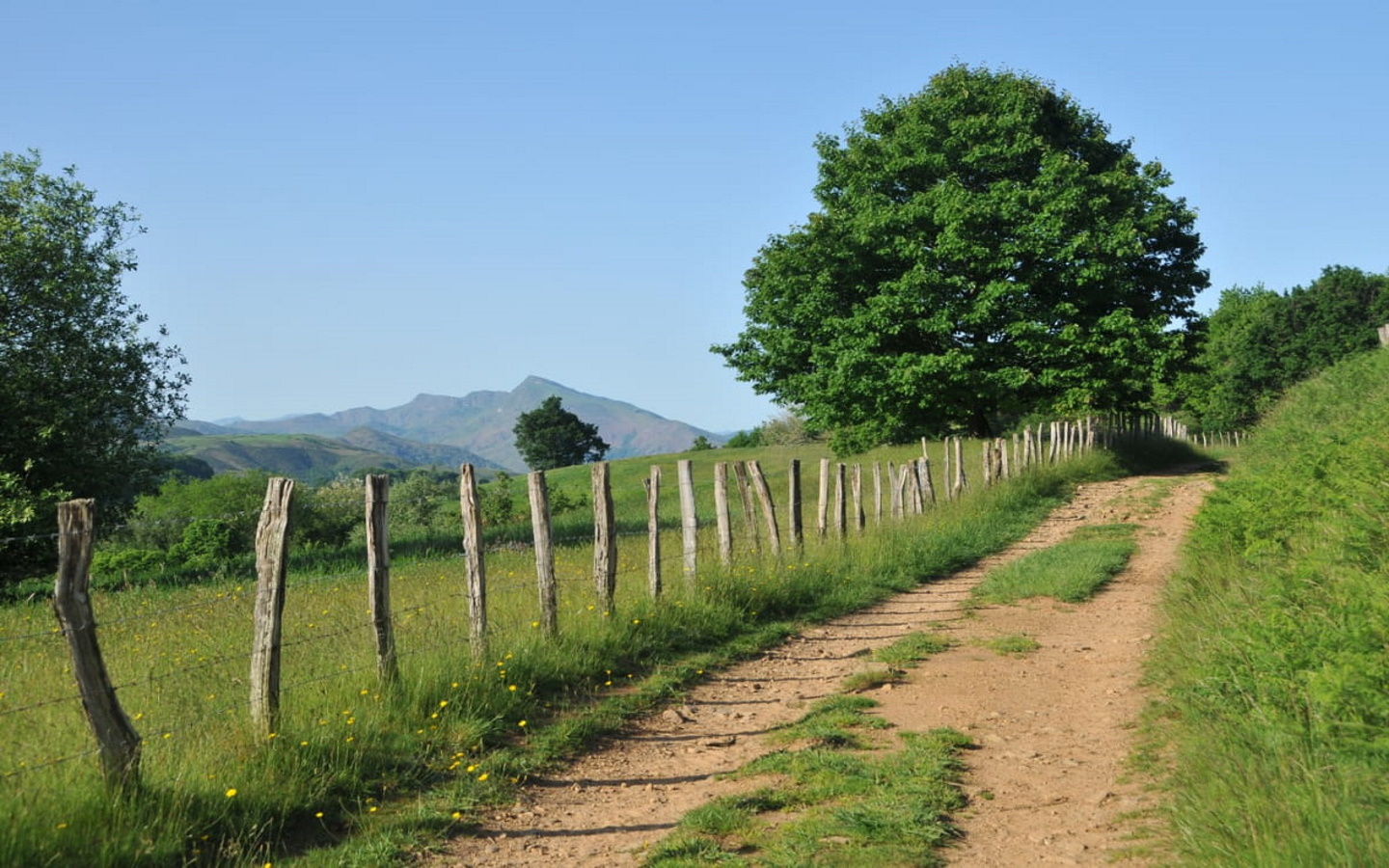 Randonnée accompagnée CAPB Urtsua : A la découverte de la montagne et des sources, Mendionde - photo 4