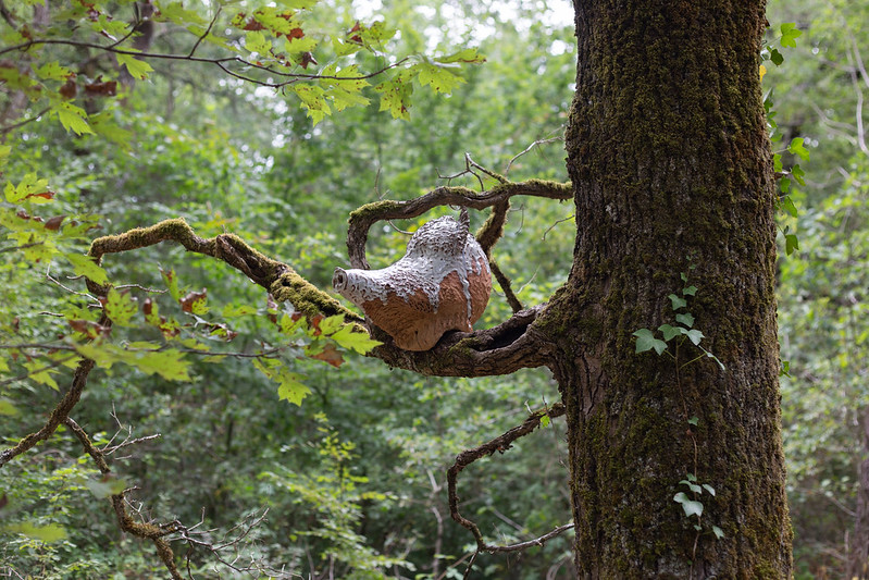 L'Usine Végétale, Le Fieu - photo 7