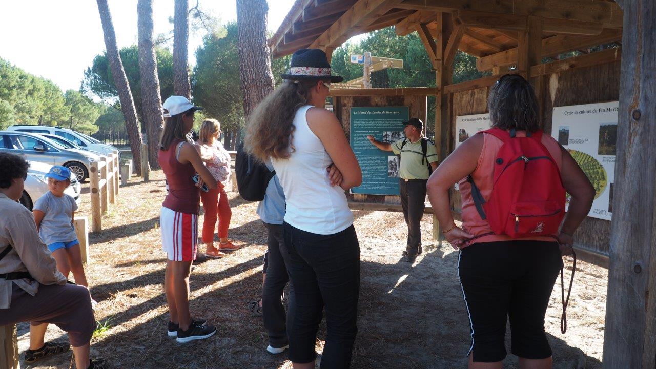 DUNE, FORET LITTORALE, RESERVE BIOLOGIQUE DE LA MAILLOUEYRE