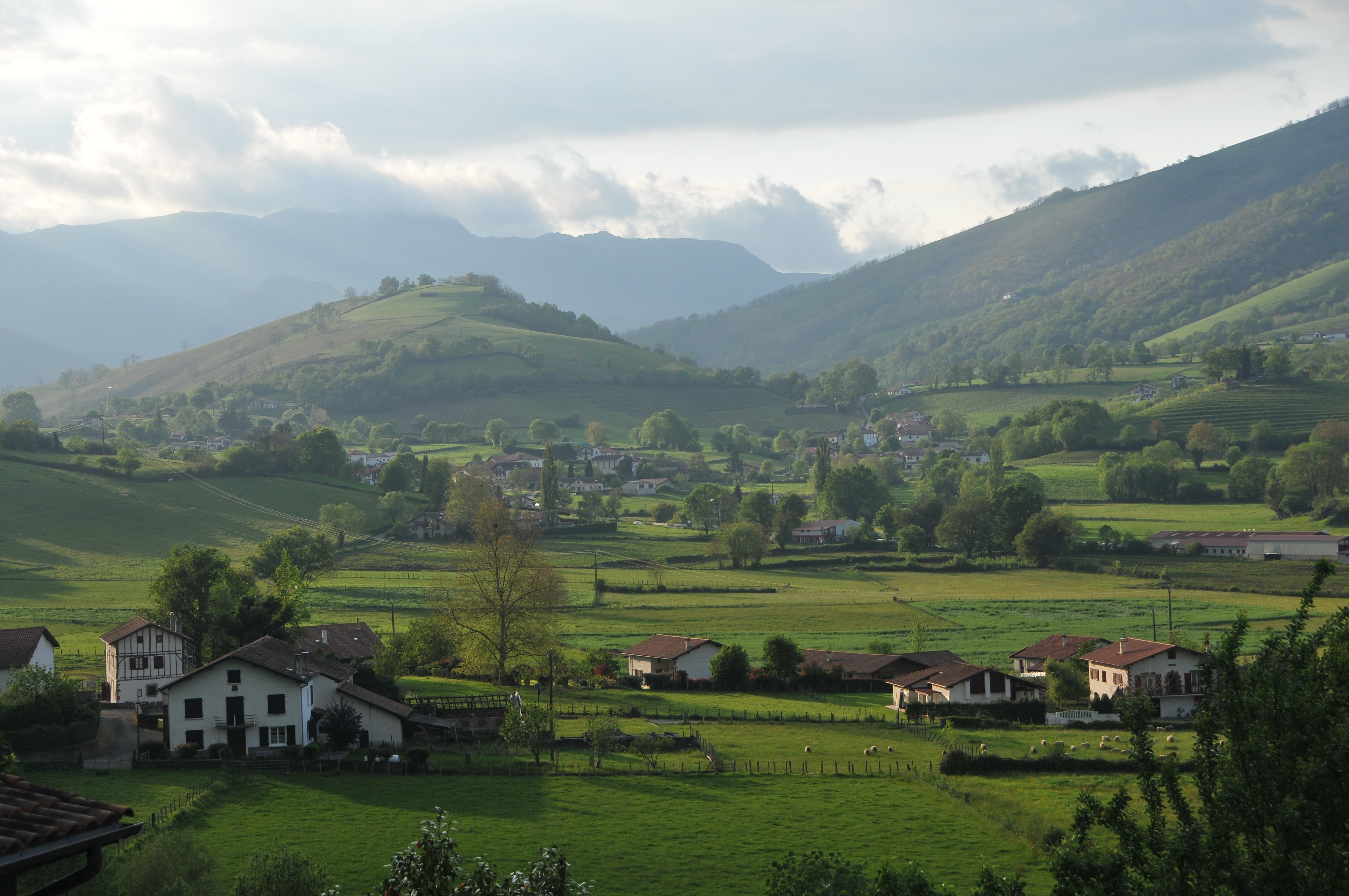 Fêtes de village : hypnotiseur-Los piquillos-talo, Irouléguy - photo 5