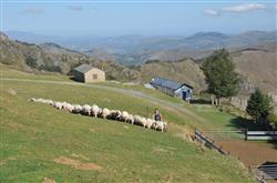 Pastoralisme