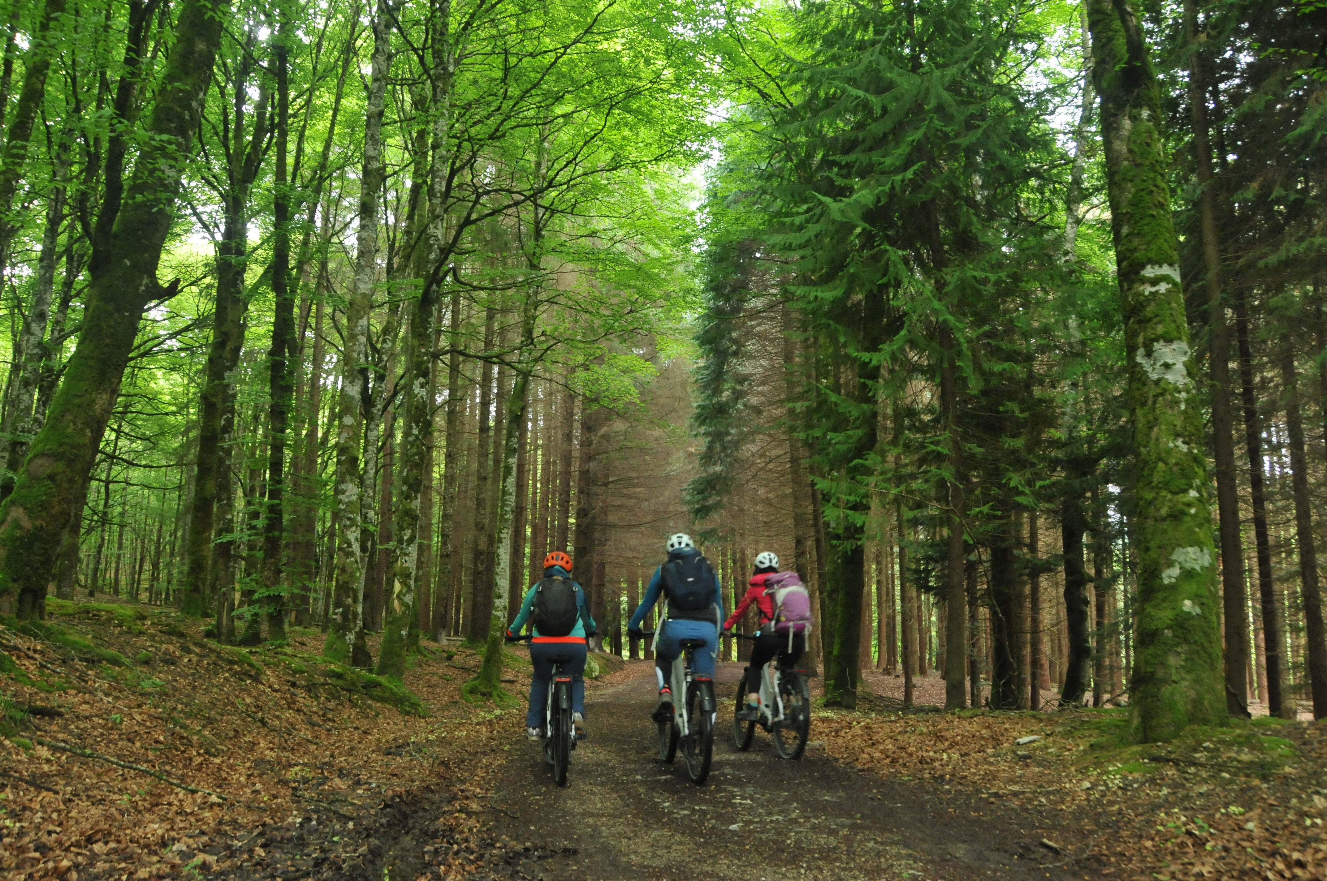 Xokoz xoko (coins et recoins) Irati et Okabe, Estérençuby - photo 3