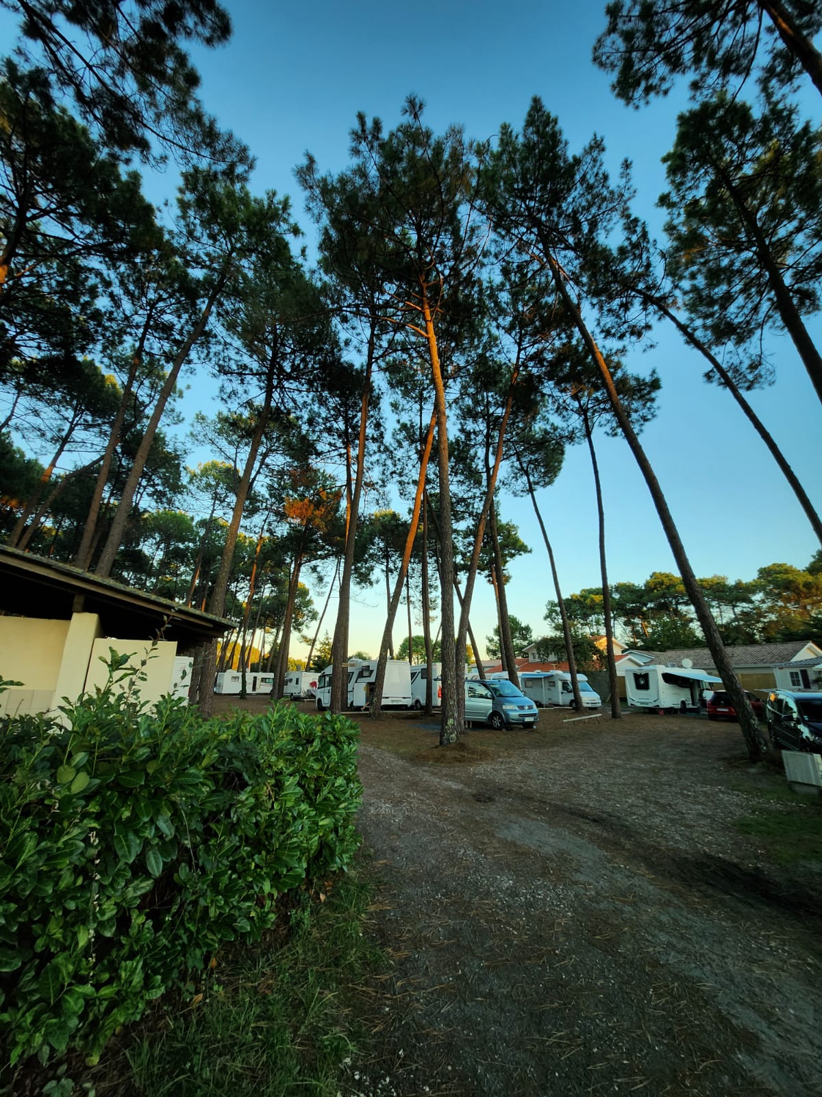 Aire de l'ANAS, Gujan-Mestras
