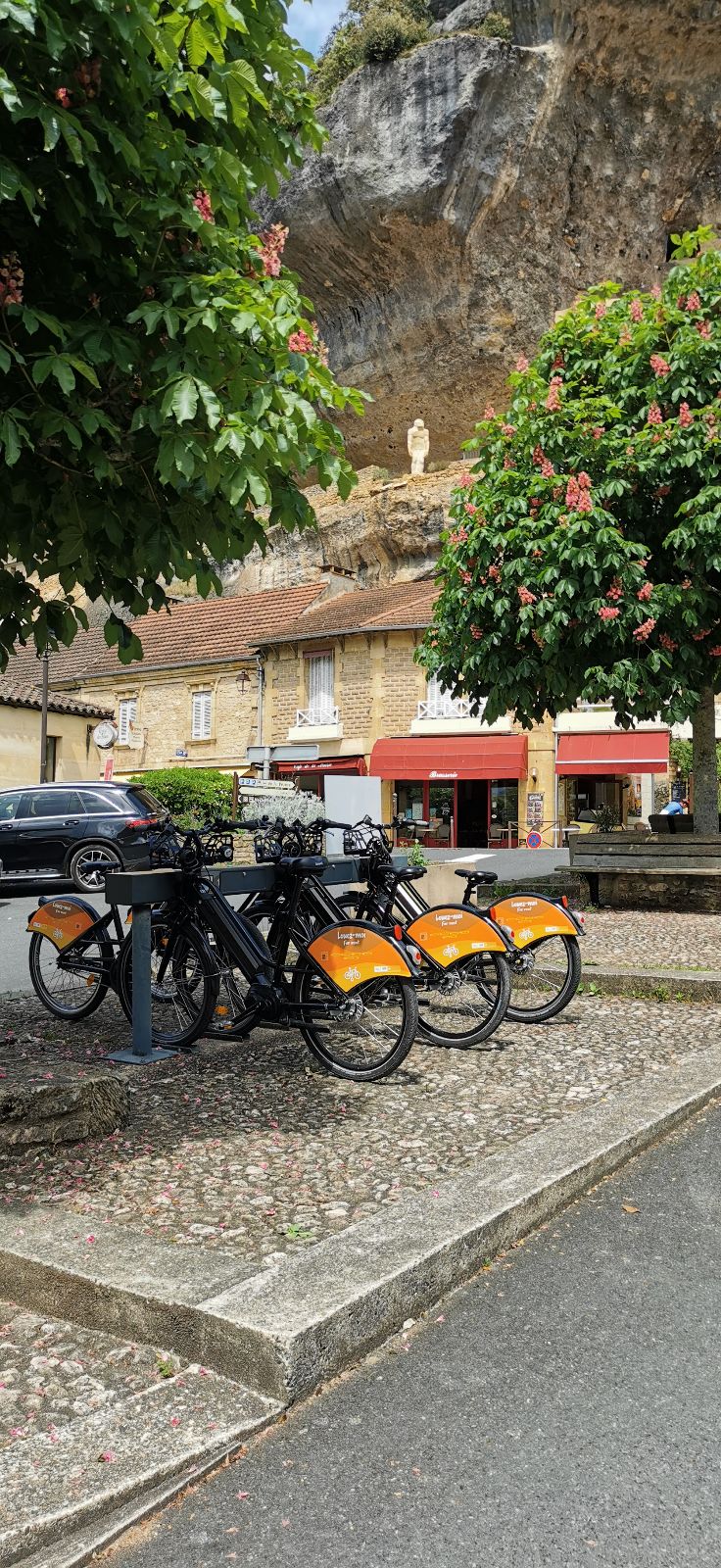 Location de vélos à assistance électrique — photo 3
