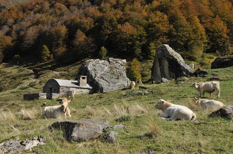 Le col du Pourtalet en VAE 