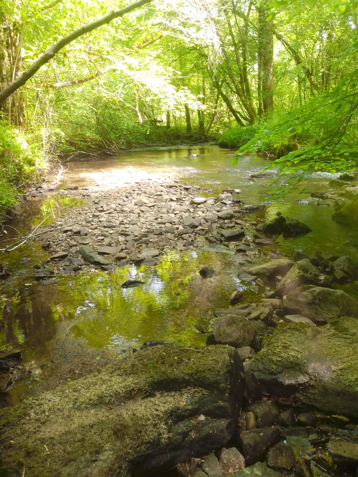 Gîte les Chaumes, Saint-Jory-de-Chalais - photo 2
