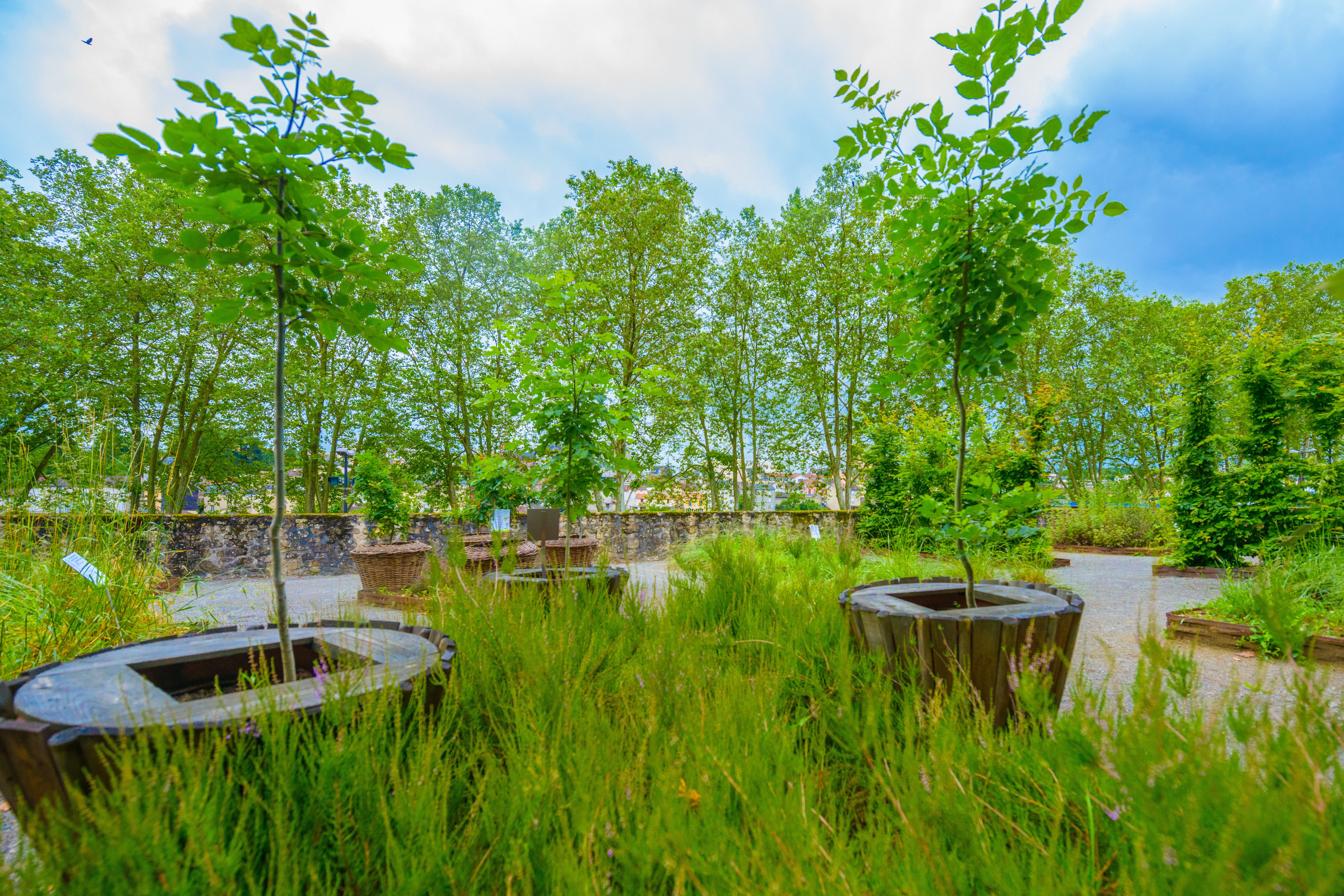 Jardin Botanique de l’Evêché
