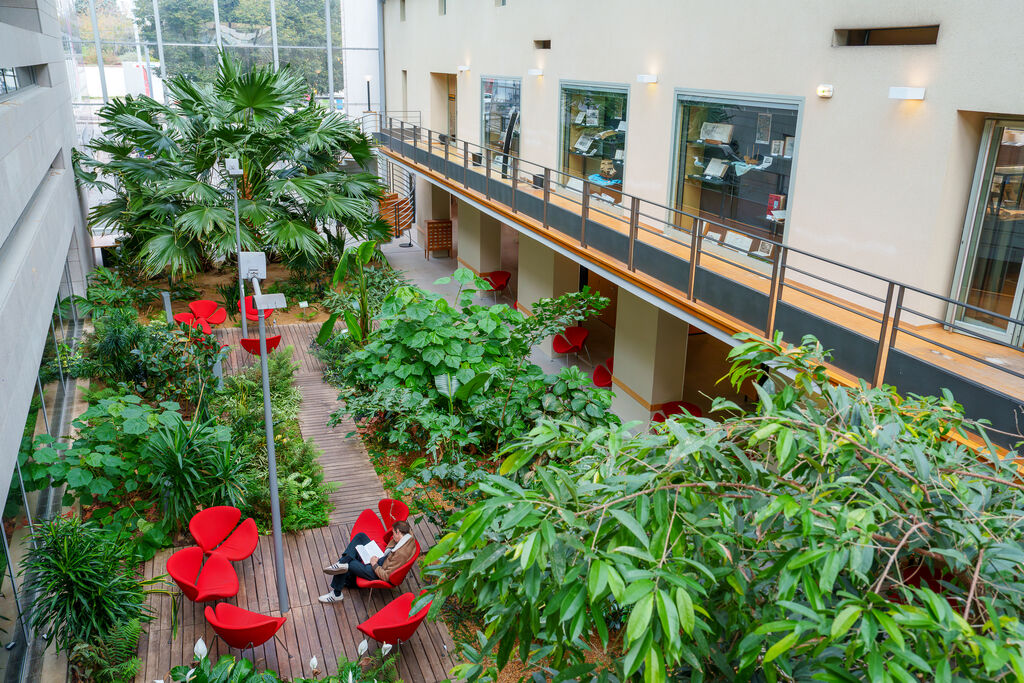 Bibliothèque Francophone Multimédia, Limoges - photo 4