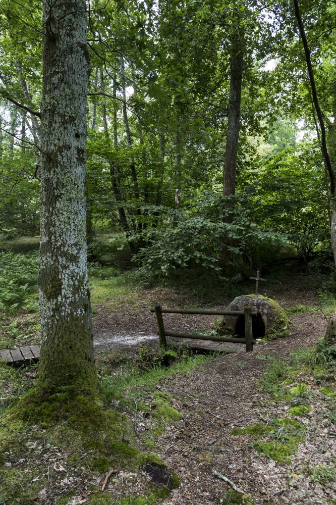 Fontaine Saint-Clair, Belin-Béliet - photo 2