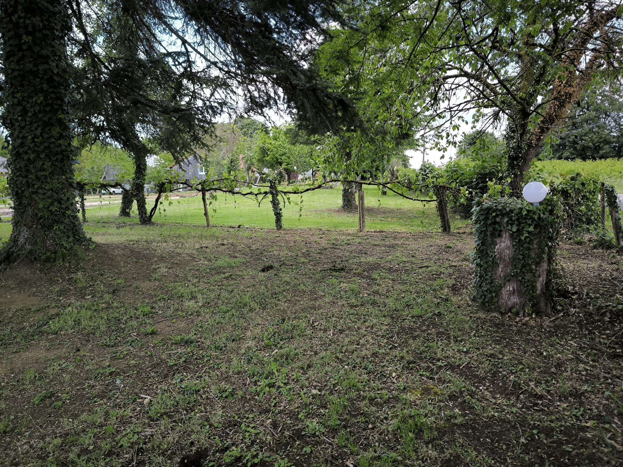 Vacances Nova 1, Saint-Vitte-sur-Briance - photo 28