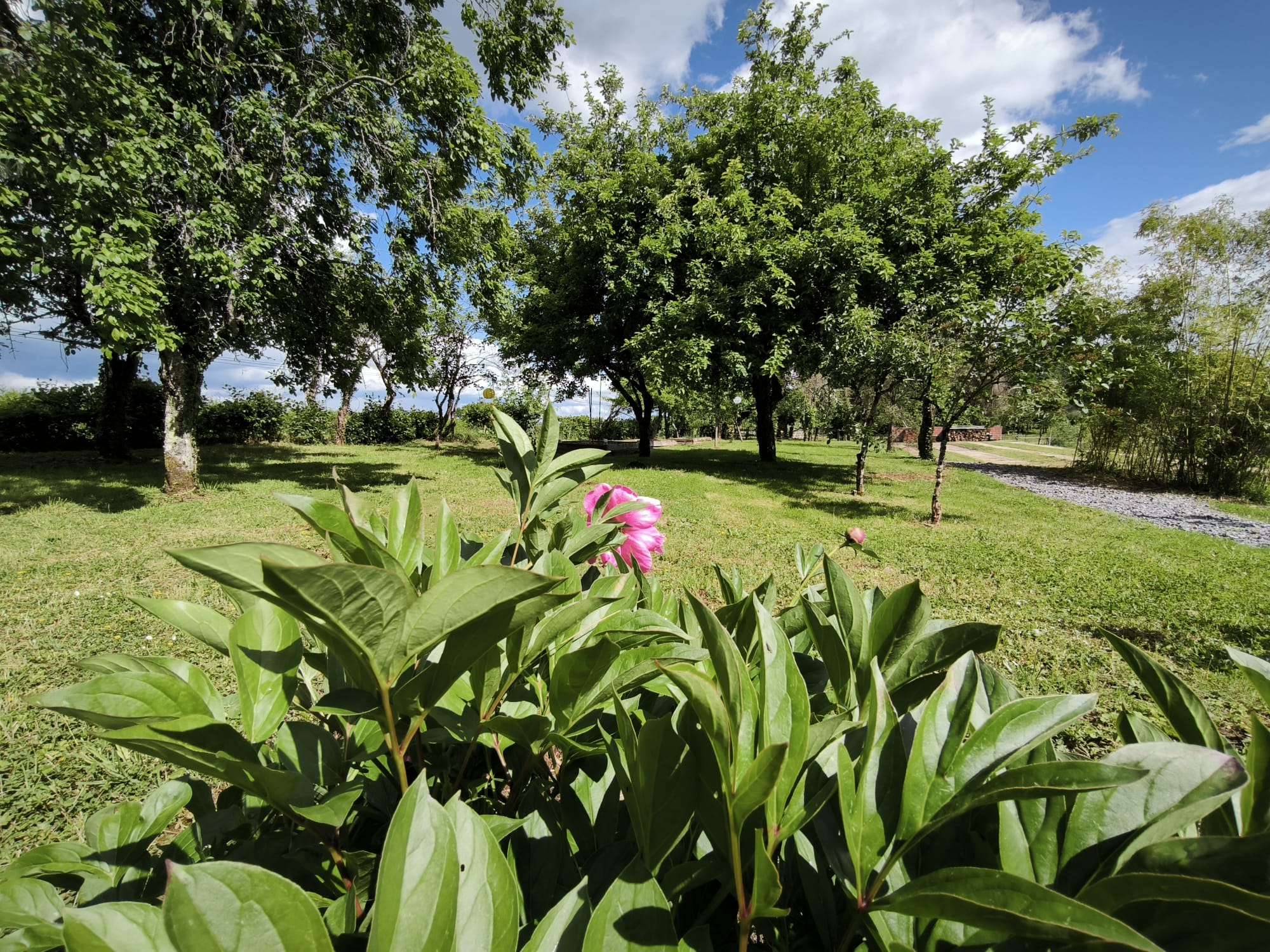 Vacances Nova 1, Saint-Vitte-sur-Briance - photo 25