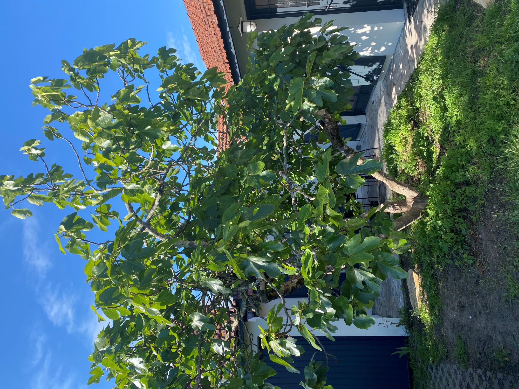 Villa Le Figuier, La Teste-de-Buch - photo 13