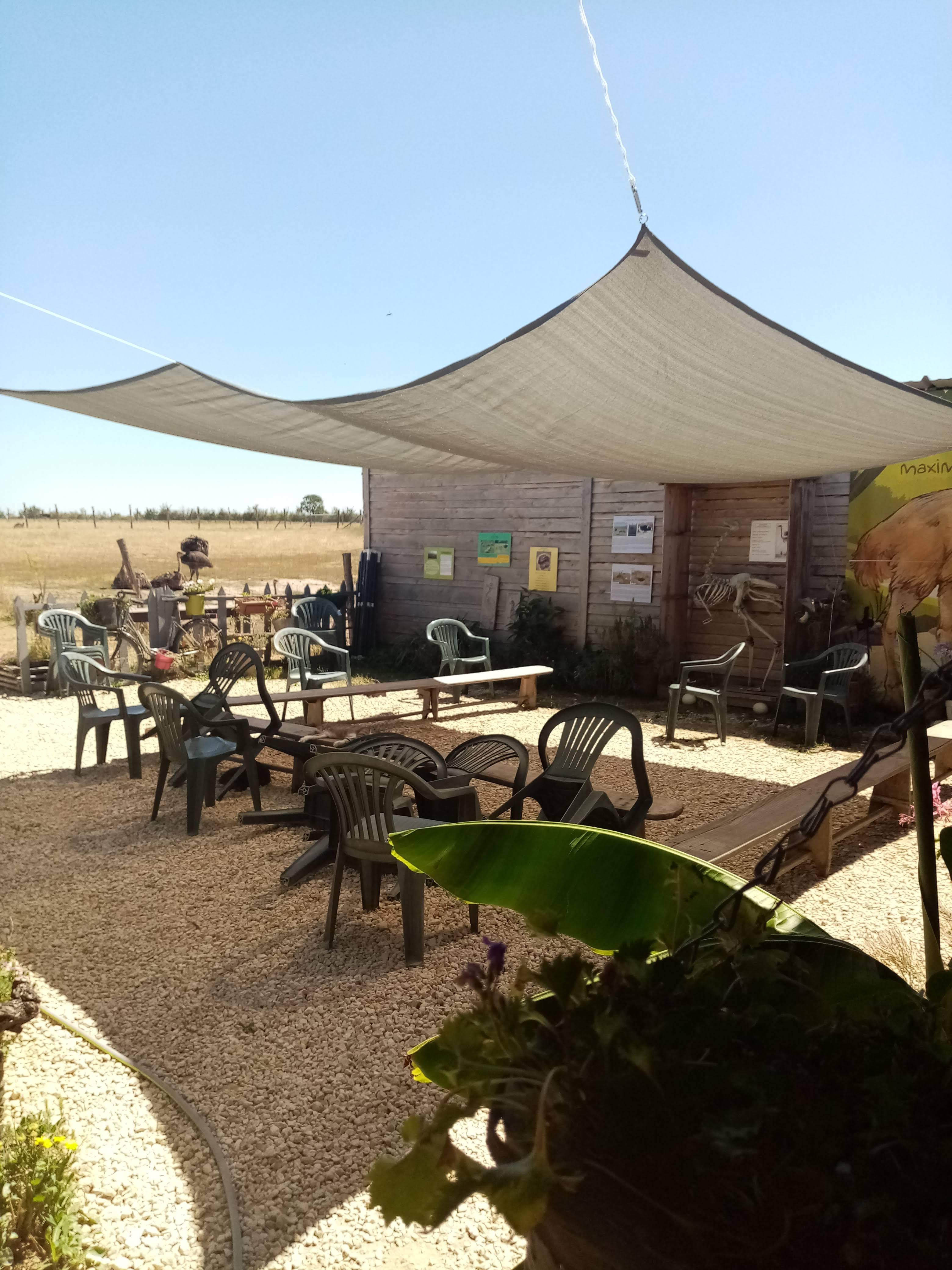 La Balade des autruches, La Peyratte - photo 2