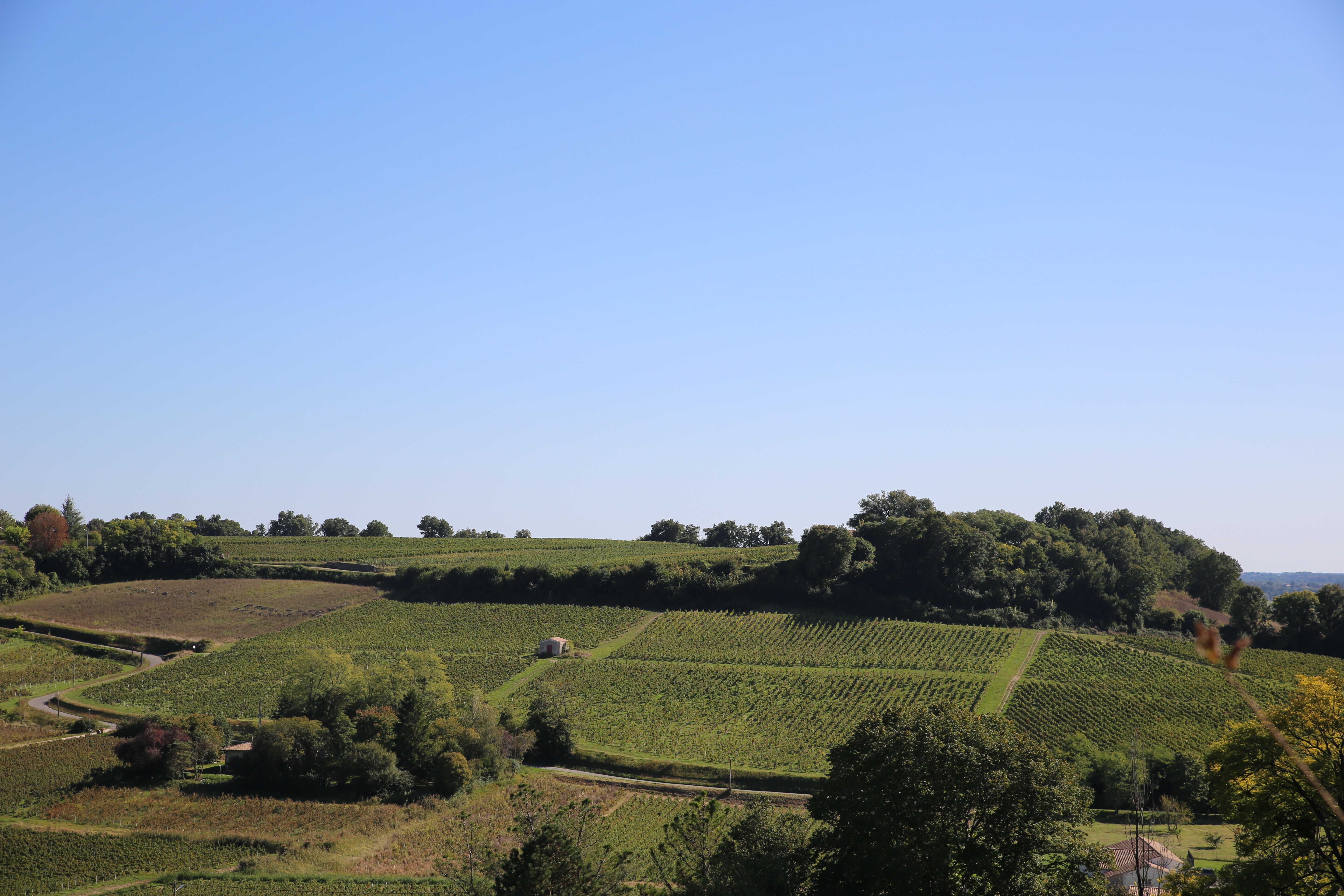 Boucle des Terrasses, Saint-Michel-de-Fronsac - photo 6