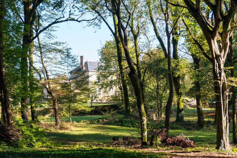 Logis de la Roche Cantin - Chambre d'hôtes Ophélie, Cherveux