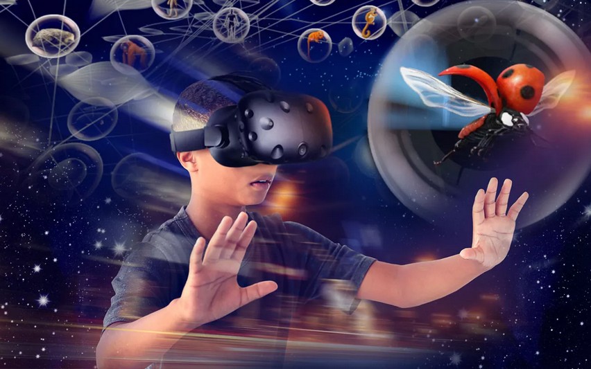 Séance VR : Voyage au cœur de l’évolution