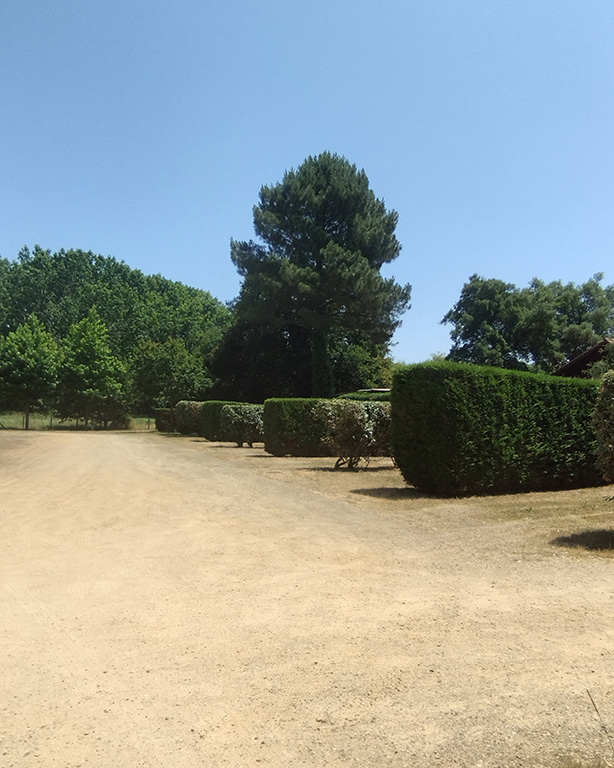 Aire de camping-cars du Lac à Vielle - photo 4