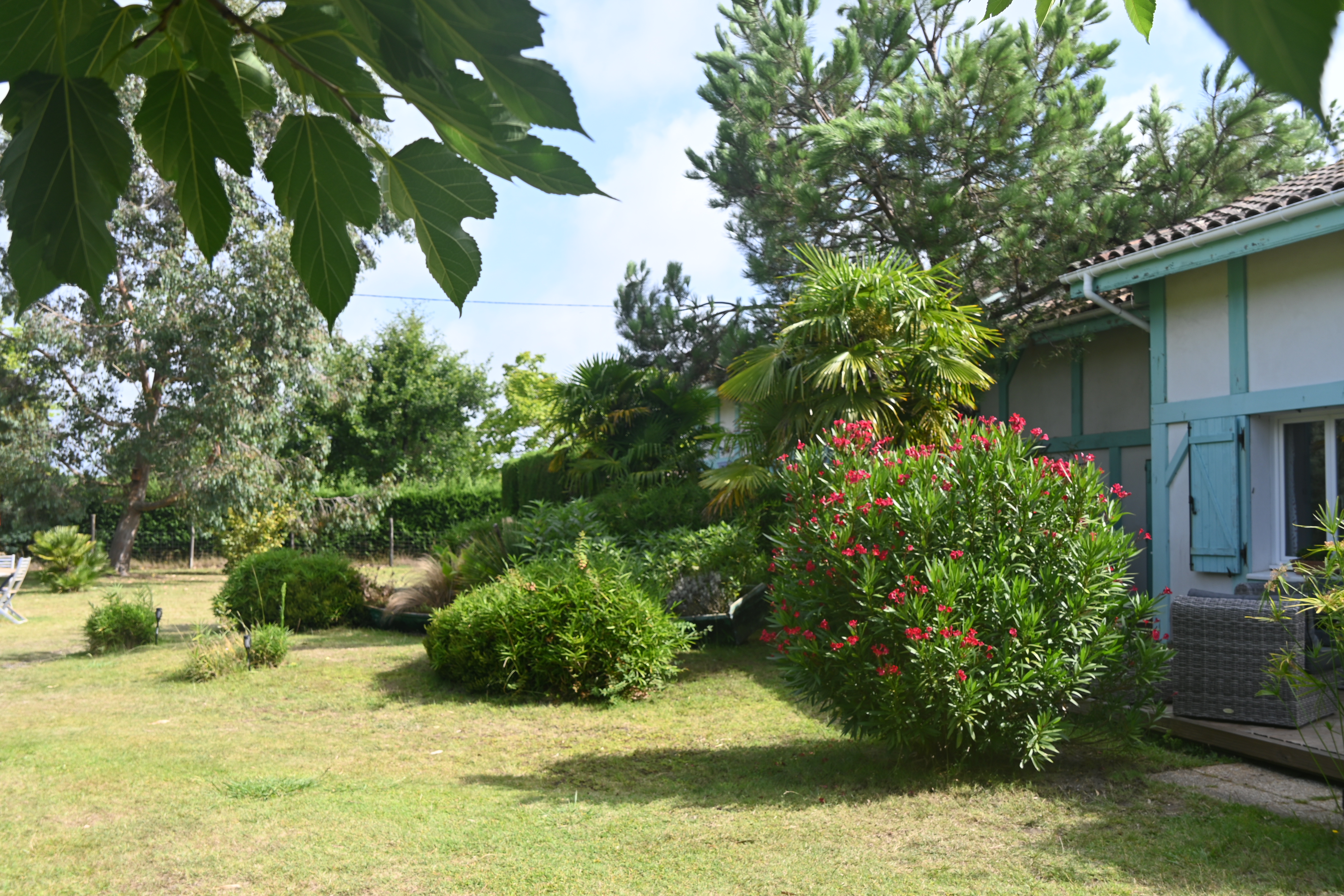 Le Mas des Landes - Gite Bois flotté