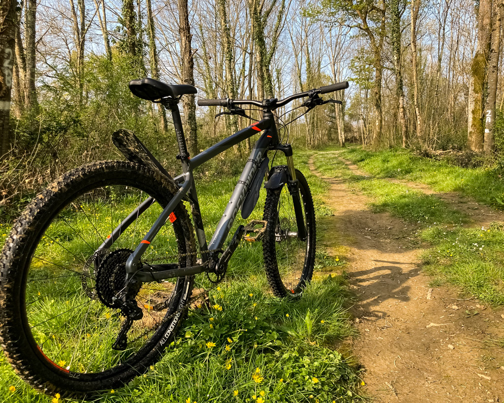 Les barthes de l'Adour, Gousse - photo 7