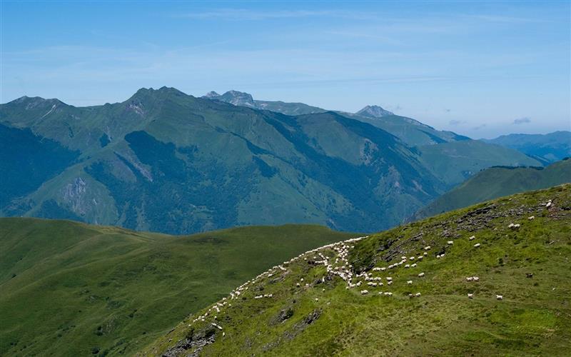 La descente Col d'Aubisque/Louvie-Soubiron  