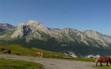 Descente Col d'Aubisque/Louvie-Soubiron en Vallée d'Ossau Descente Col d'Aubisque/Louvie-Soubiron en Vallée d'Ossau