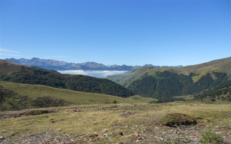 La descente Col d'Aubisque/Louvie-Soubiron  