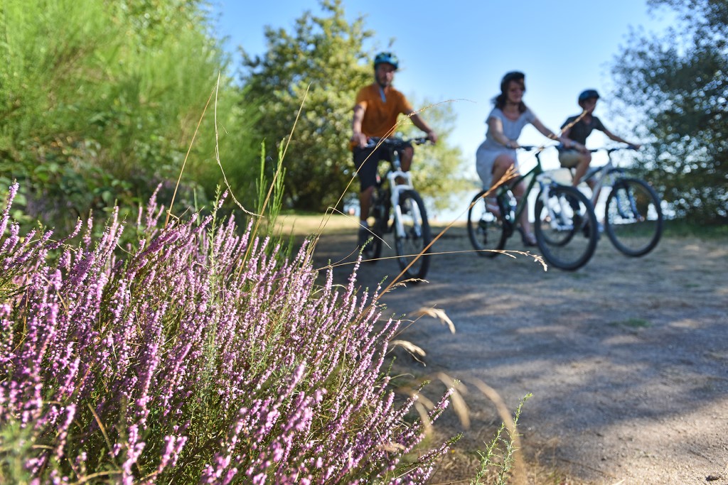 Location VTT Auphelle - photo 4