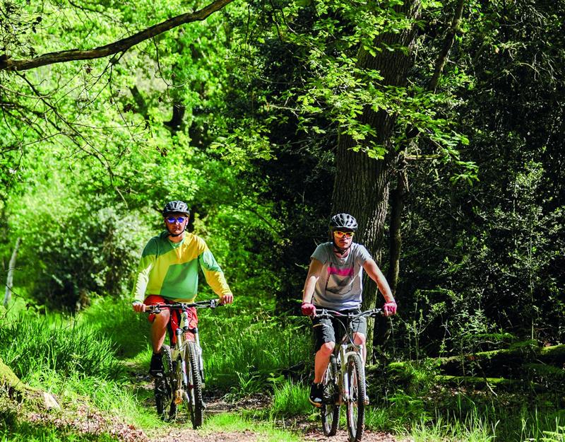 De Sauvagnon à la forêt de Bastard