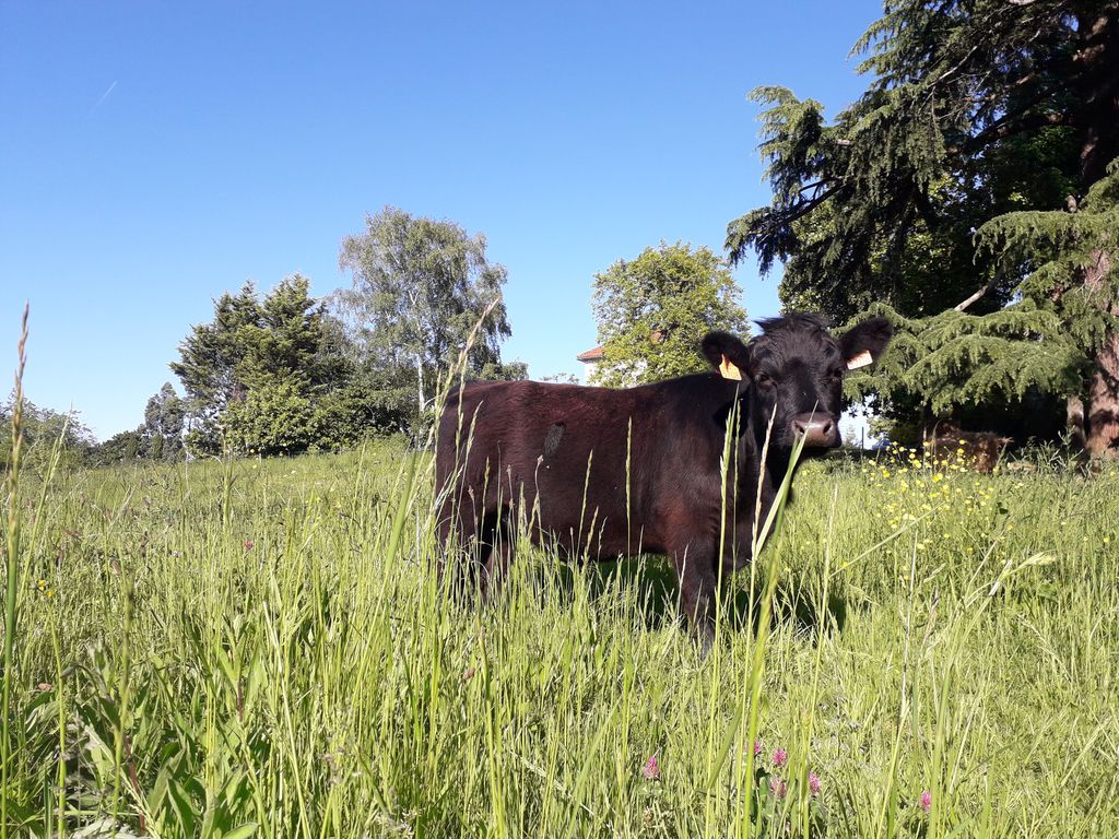 La Ferme à Roulettes, Saint-Vivien - photo 10