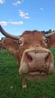 Boucle de Maneyrol à Pazayac, Pazayac - photo 2
