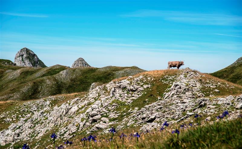 N°55 Col de la Cuarde