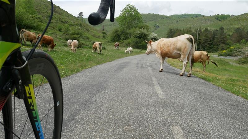Route N° 5 - Col d'Ahusquy