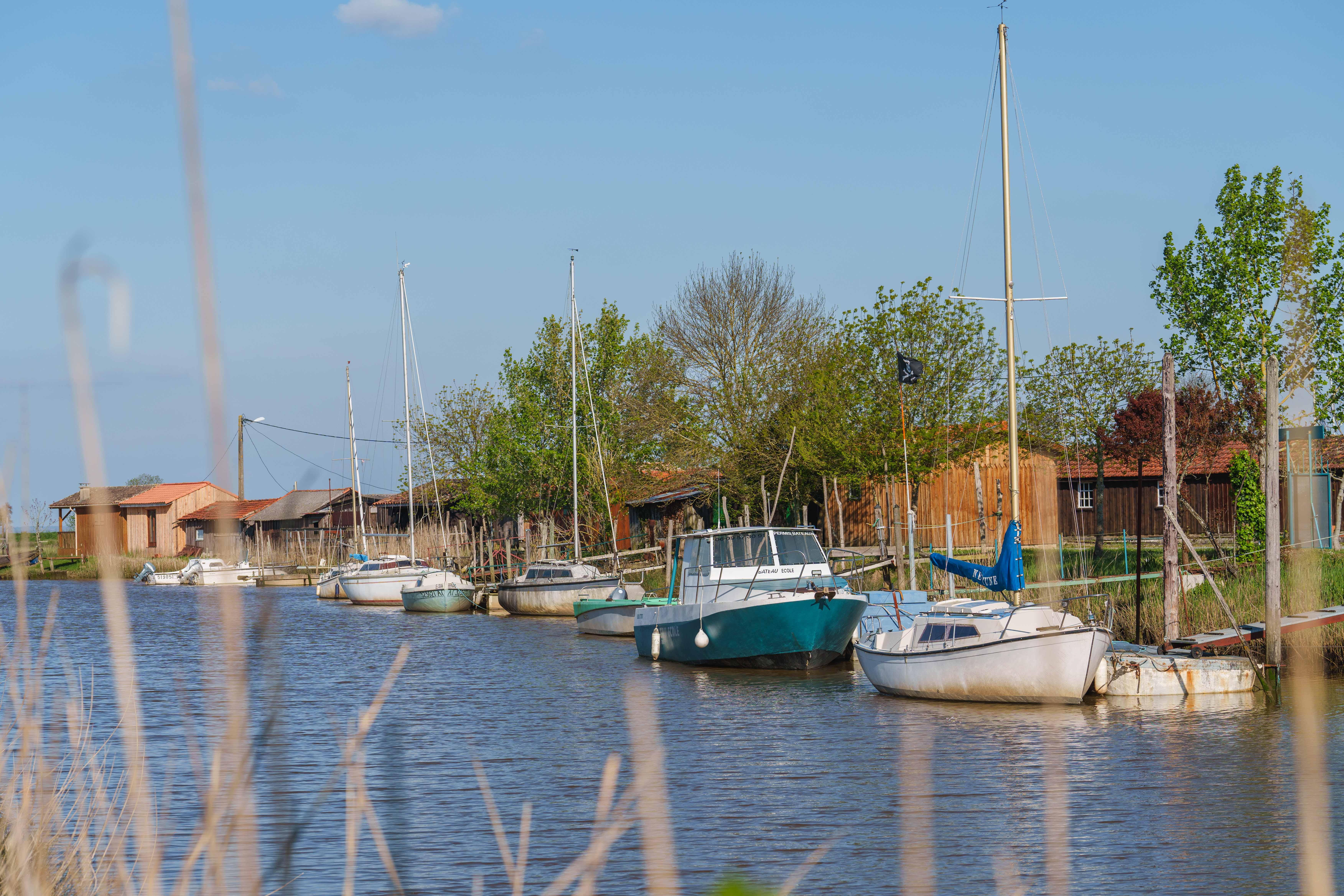 Boucle de Goulée, Valeyrac - photo 4