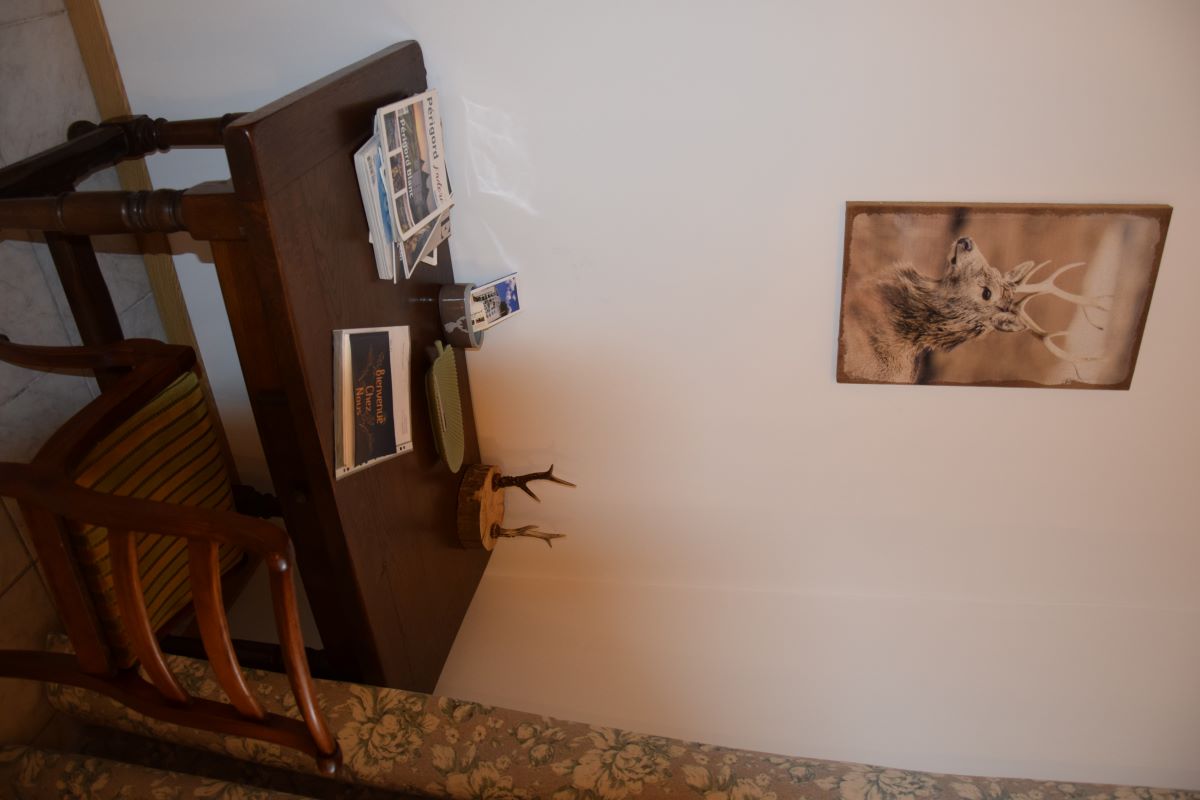 Diva - Vallée Verte, Razac-sur-l'Isle - photo 5