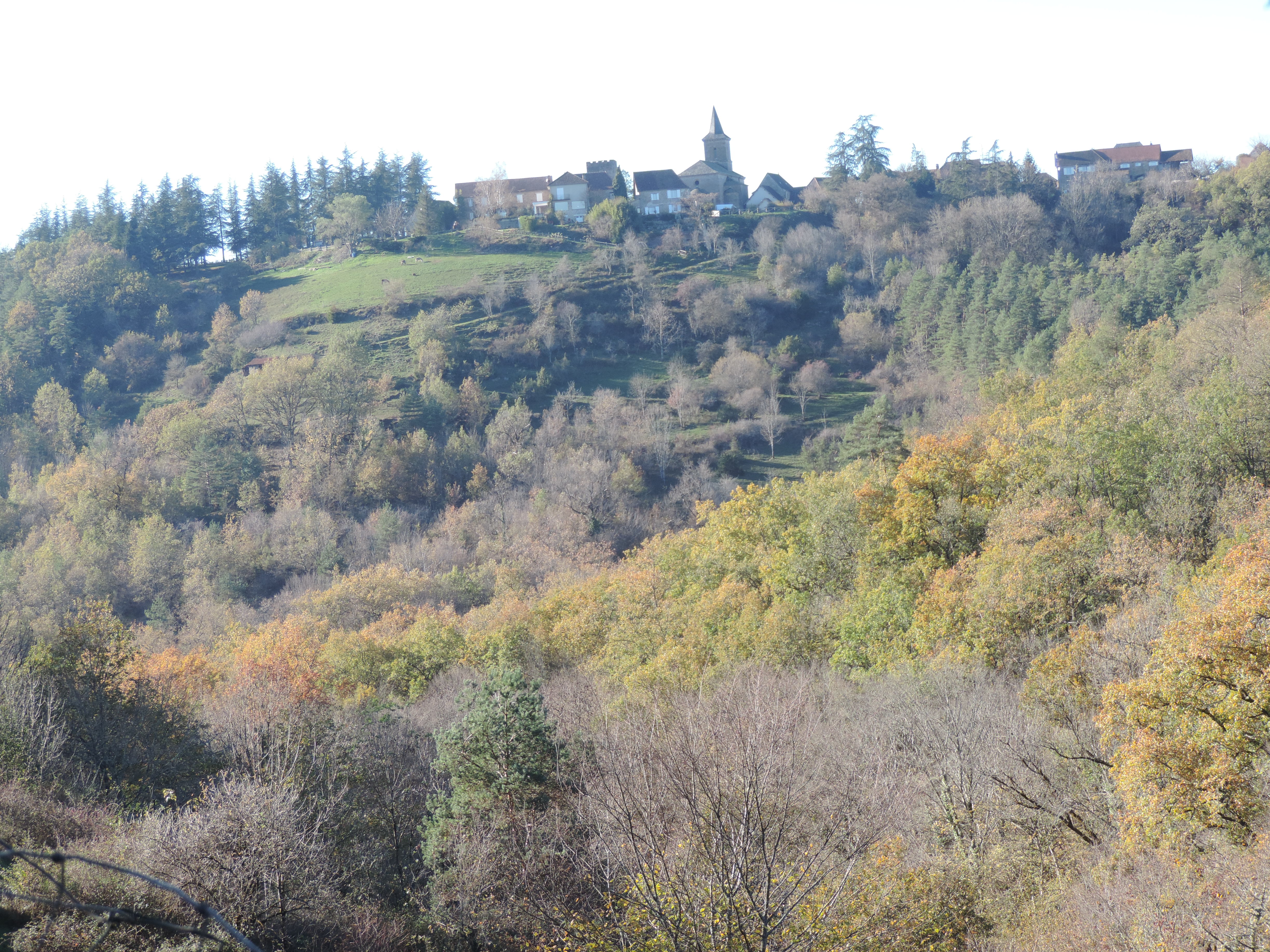 Chemin de la Queyrille, Queyssac-les-Vignes - photo 17