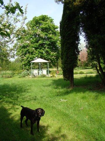 Chambres d'hôtes du Domaine du Gay - photo 3