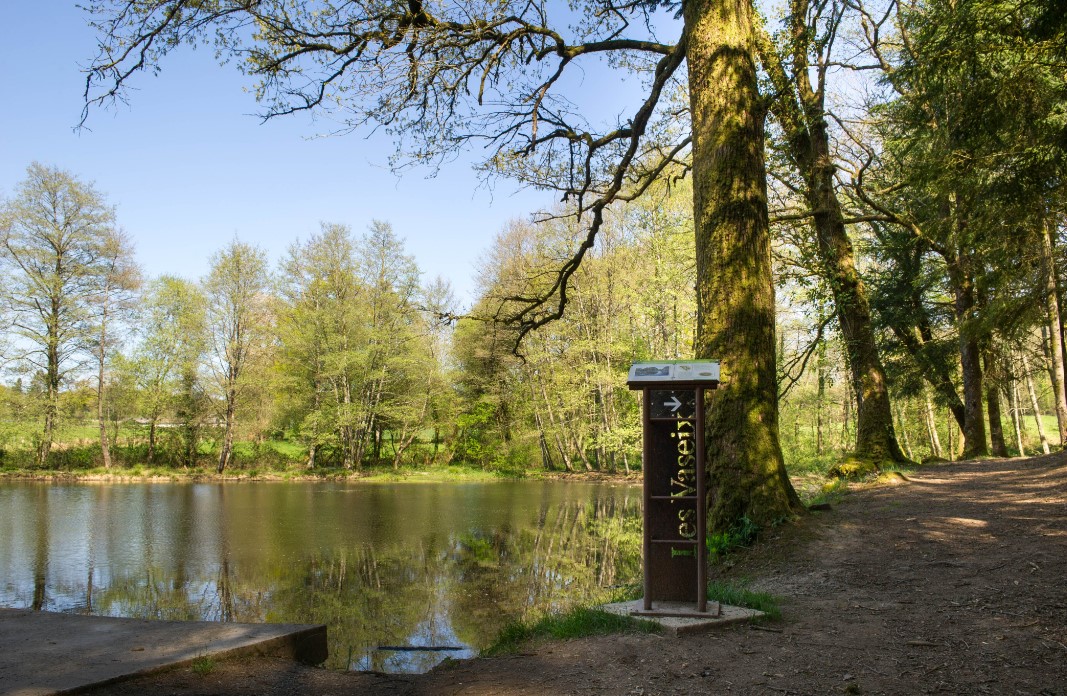 La forêt départementale des Vaseix