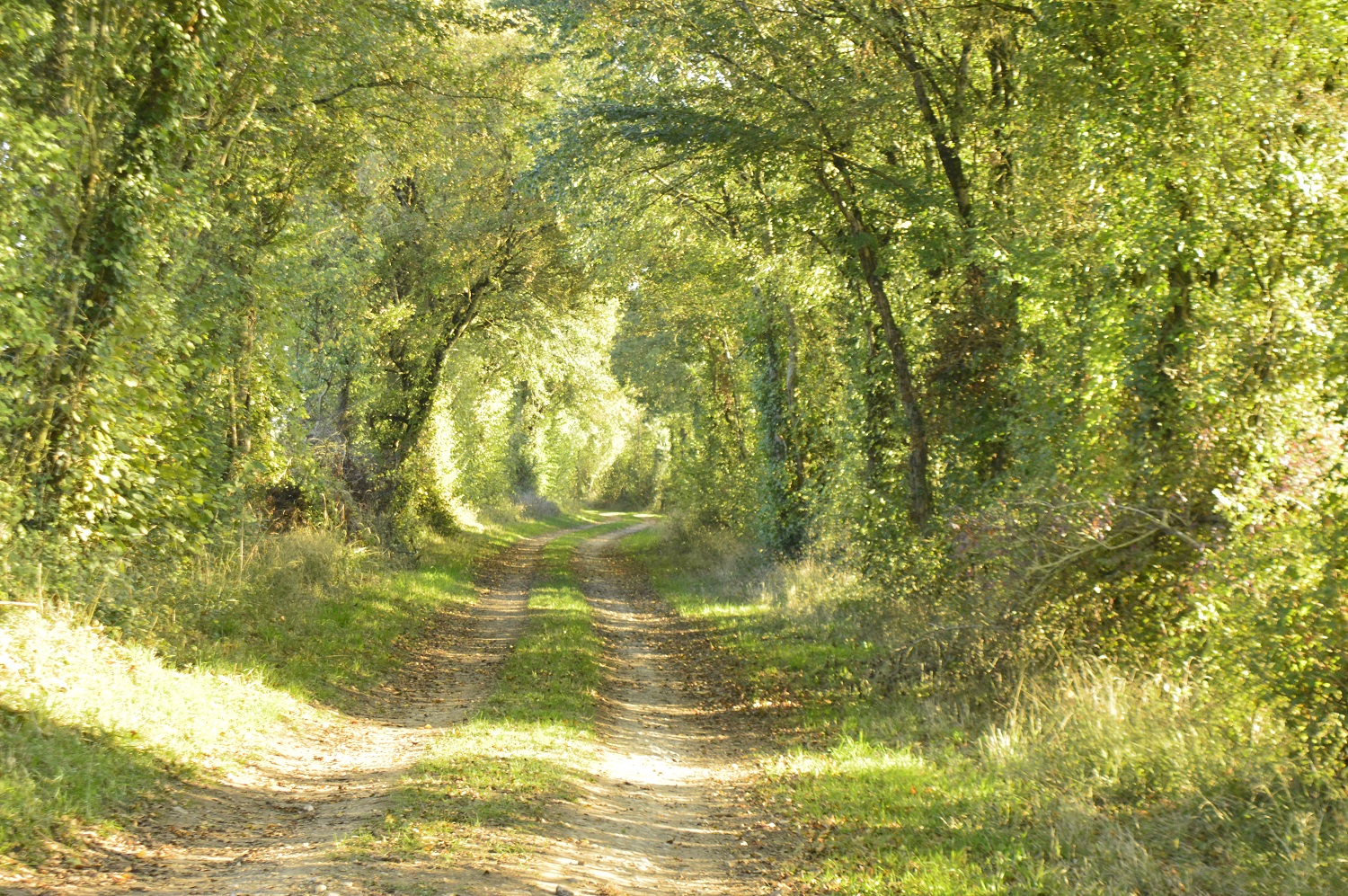 Chasse aux trésors Tèrra Aventura : "Les murs ont des oreilles" - photo 2