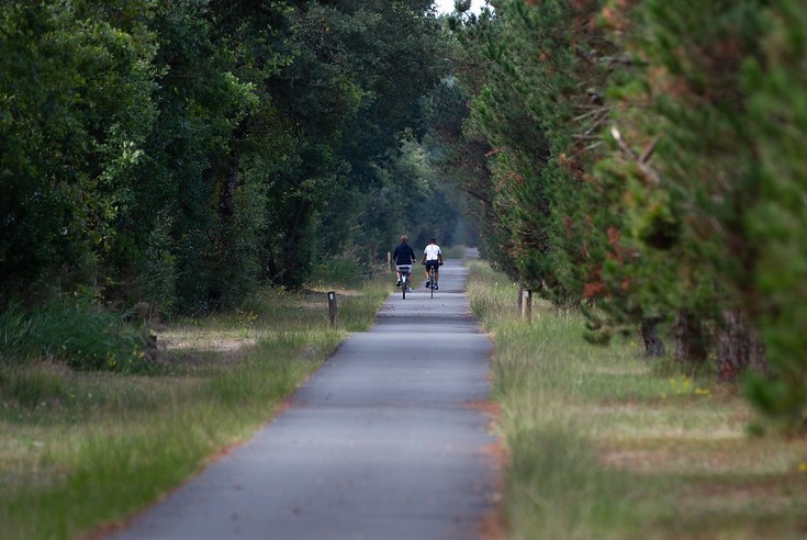 Tour de Gironde à vélo : étape 5 - Bazas / Saint-Symphorien
